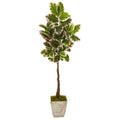 69" Variegated Rubber Leaf Artificial Tree in Country White Planter (Real Touch)