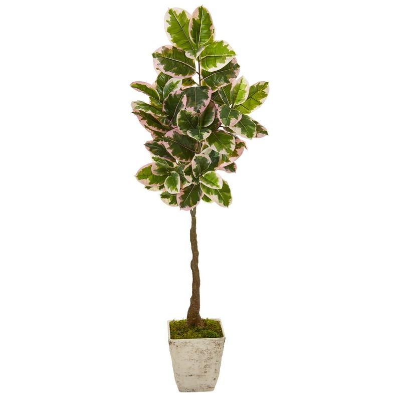69" Variegated Rubber Leaf Artificial Tree in Country White Planter (Real Touch)