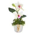 13" Mini Orchid Cattleya Artificial Arrangement in White Vase w/Silver Trimming