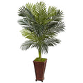 5' Golden Cane Palm Tree in Decorative Planter