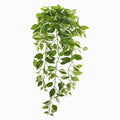 32"  Wandering Jew Hanging Artificial Plant (Set of 2) (Real Touch)