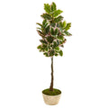 67"  Variegated Rubber Leaf Artificial Tree in Planter (Real Touch)