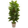 63"  Large Leaf Philodendron Artificial Plant in Farmhouse Planter (Real Touch)