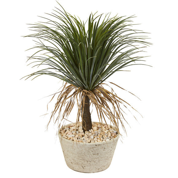 32" Pony Tail Palm Artificial Plant in White Planter