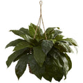 Double Giant Birdsnest Hanging Basket
