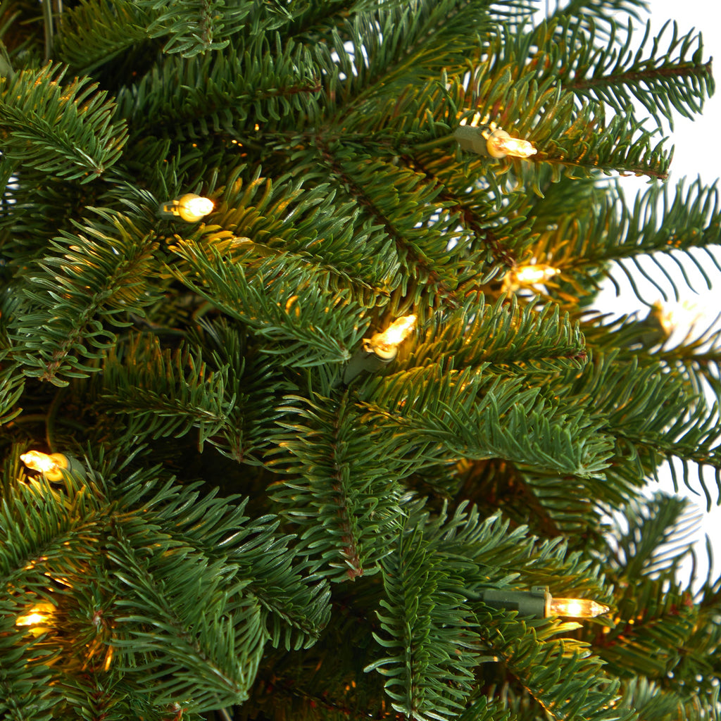 3.5' South Carolina Spruce Artificial Christmas Tree w/ 100 White Warm Light