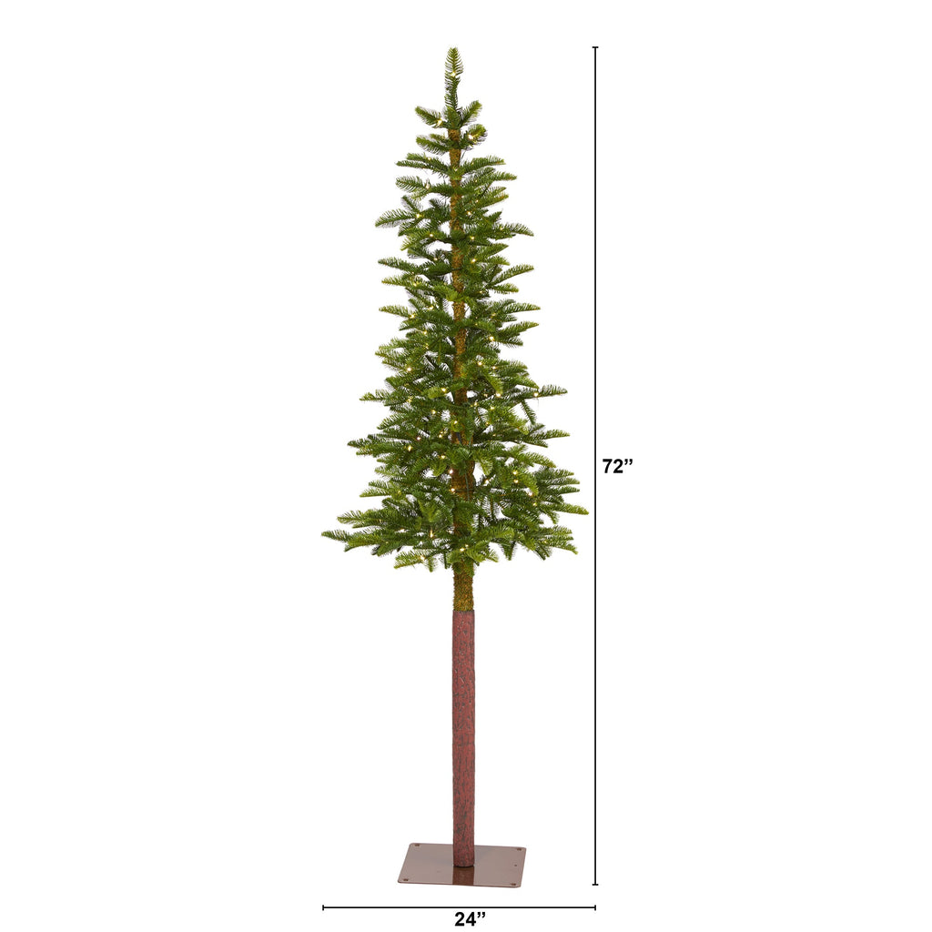 6' Alaskan Alpine Artificial Christmas Tree with 100 Clear Microdot