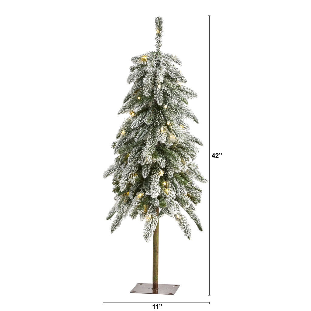 3.5' Flocked Washington Alpine Christmas Tree with 50 White Warm LED lights