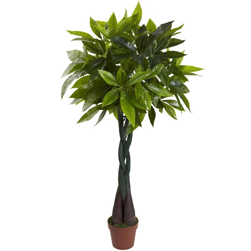 4' Money Plant (Real Touch)