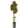 73"  Croton Artificial Tree in Decorative Planter