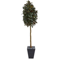 71"  Capensia Ficus Artificial Tree in Slate Planter