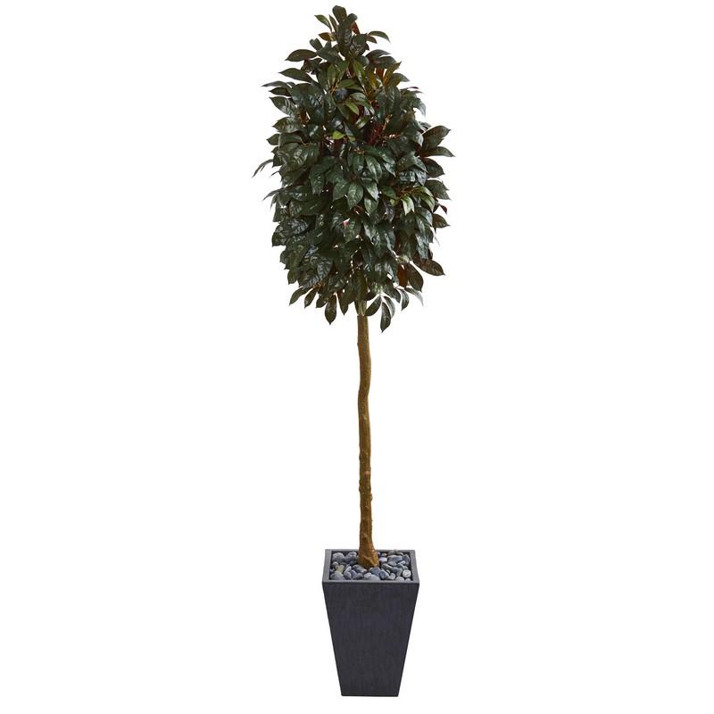 71"  Capensia Ficus Artificial Tree in Slate Planter