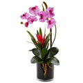 Orchid and Bromeliad in Glossy Black Cylinder