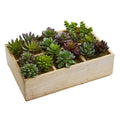 12"  Mixed Succulent Garden in Tray Artificial Plant