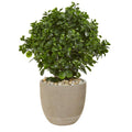 30"  Peperomia Artificial Plant in Sand Stone Planter UV Resistant