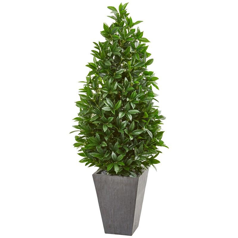 57"  Bay Leaf Cone Topiary Tree in Slate Planter UV Resistant (Indoor/Outdoor)