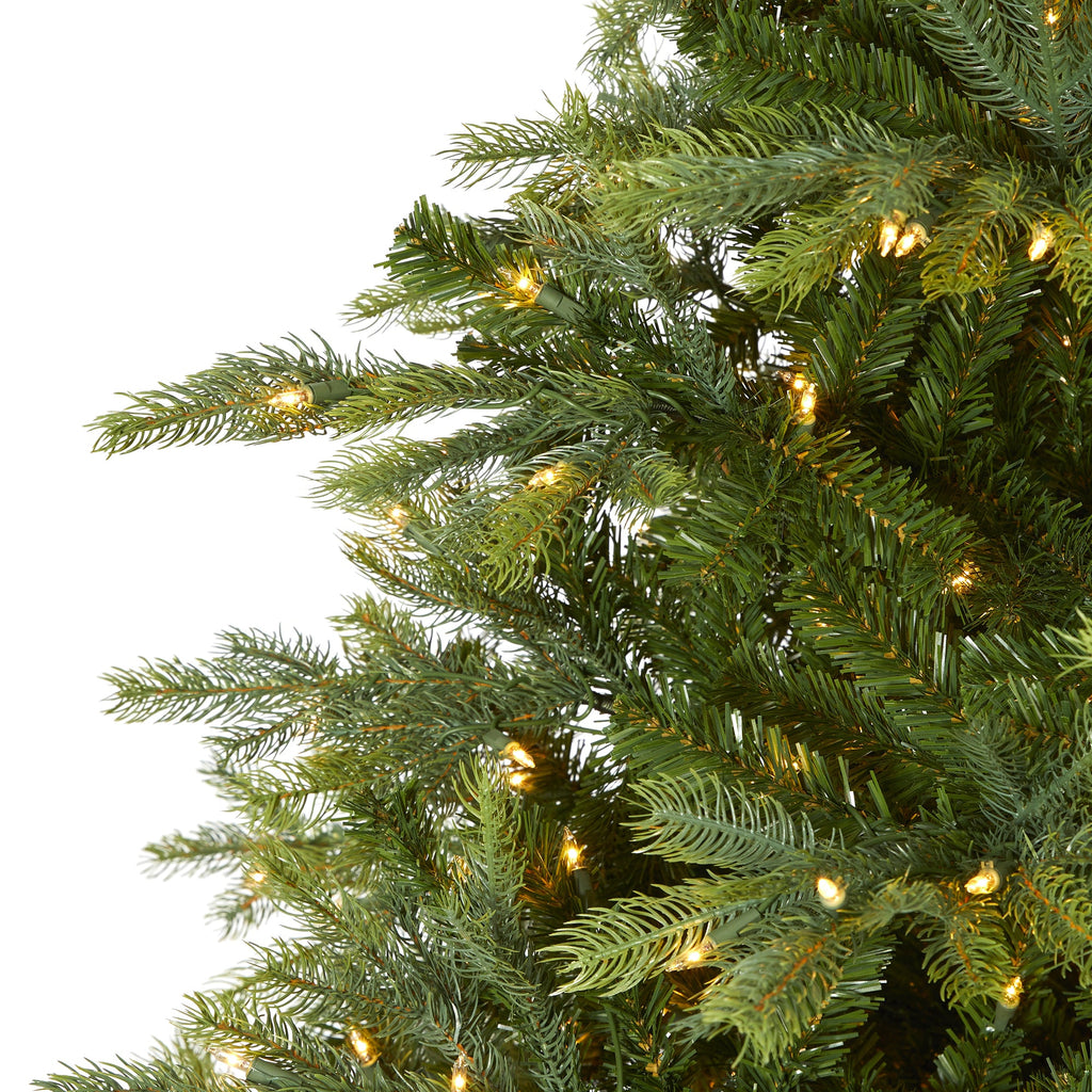 8' North Carolina Spruce Artificial Christmas Tree w 650 Clear Lights