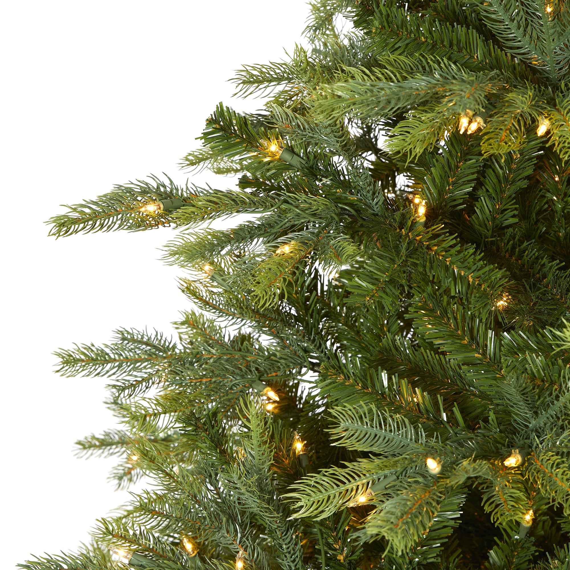 8' North Carolina Spruce Artificial Christmas Tree w 650 Clear Lights