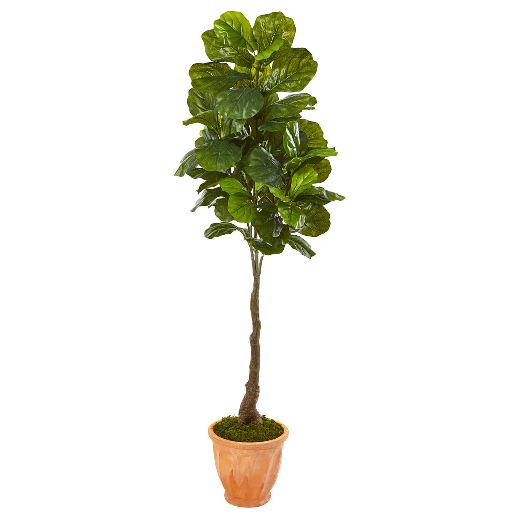 67"  Fiddle Leaf Artificial Tree in Terra-Cotta Planter (Real Touch)