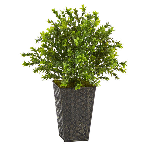 19" Sweet Grass Artificial Plant in Embossed Black Planter