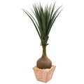 58"  Yucca Artificial Plant in Terra Cotta Planter