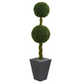 5' Double Ball Boxwood Topiary in Slate Planter UV Resistant r)
