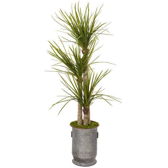 67" Yucca Artificial Tree in Copper Trimmed Metal Planter