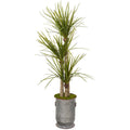 67" Yucca Artificial Tree in Copper Trimmed Metal Planter