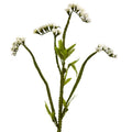 22"  Baby Breath Artificial Flower (Set of 24)