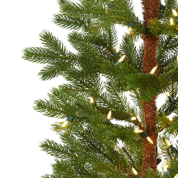 5' Fairbanks Fir Artificial Christmas Tree with 150 Clear Warm LED Lights