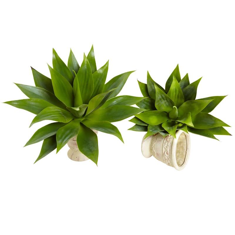 17"  Agave Succulent Plant (Set of 2)