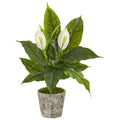 29"  Spathifyllum Artificial Plant in Weathered Oak Planter