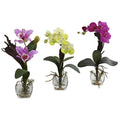 Mixed Orchid w/Cube Arrangements (Set of 3)