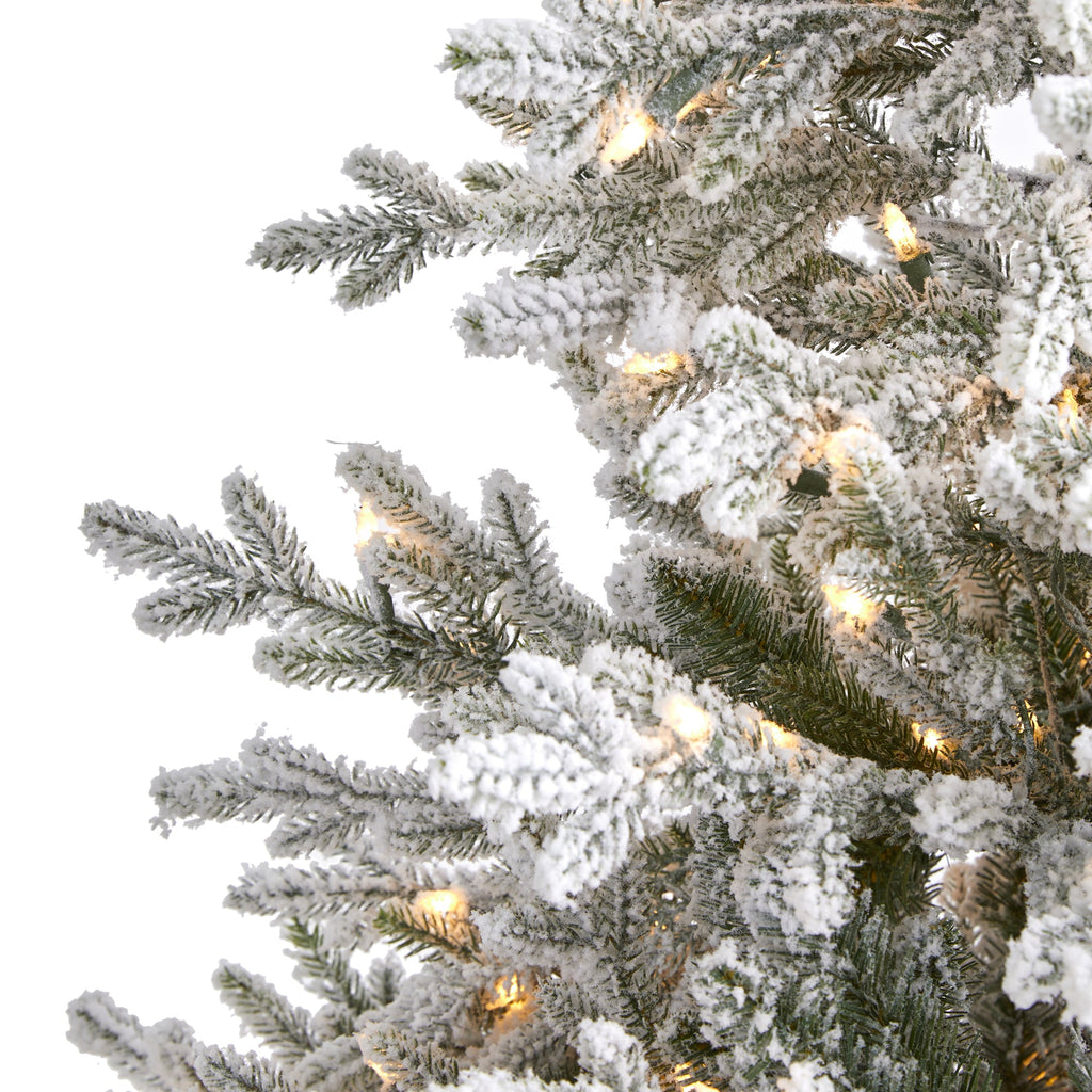 6' Flocked Fraser Fir Artificial Christmas Tree with 500 Warm White Lights