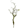 24"  Moss Twig Vine Artificial Plant (Set of 6)