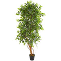 6' Elegant Ficus Artificial Tree