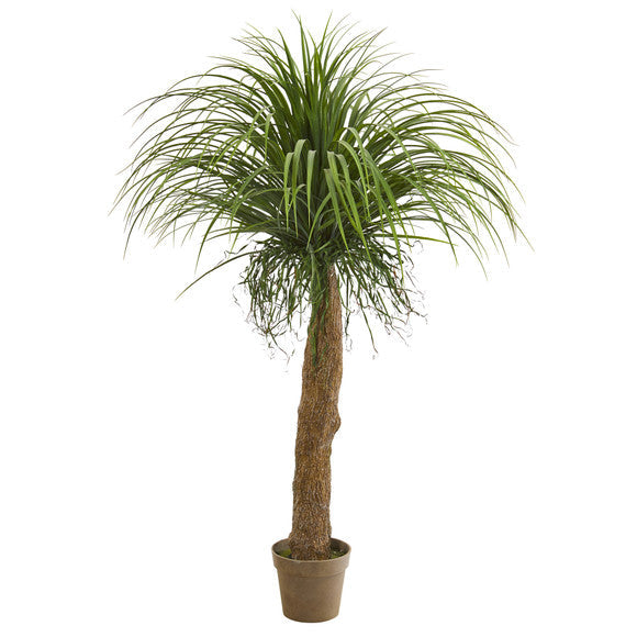 5' Molina Artificial Plant