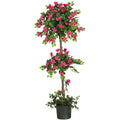 5' Mini Bougainvillea Topiary