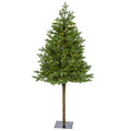 5' Swiss Alpine Artificial Christmas Tree with 150 Clear LED Lights