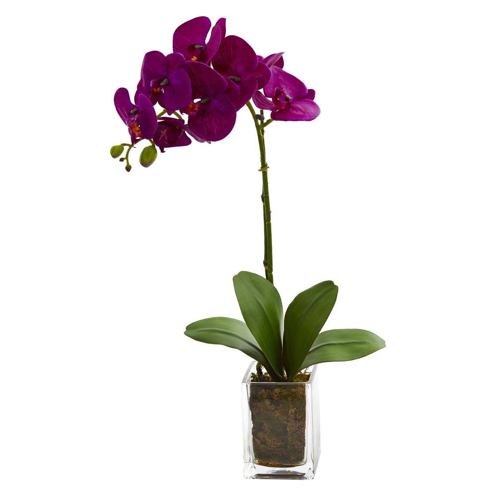Nearly Natural 24" Orchid Phalaenopsis Artificial Arrangement In Vase 4309-MA