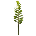 28"  Zamioculcas Artificial Flower Stem (Set of 6)