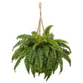 Boston Fern Hanging Basket