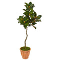 56"  Magnolia Artificial Tree in Orange Planter
