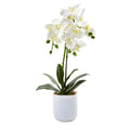 Phalaenopsis In Frosted Glass 4571 By Nearly Natural