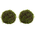 9"  Mohlenbechia Ball (Set of 2)