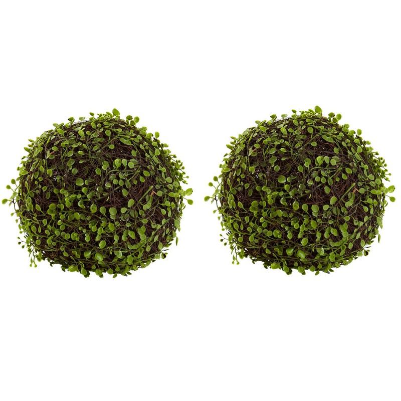 9"  Mohlenbechia Ball (Set of 2)