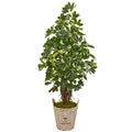4.5' Schefflera Artificial Tree in Farmhouse Planter