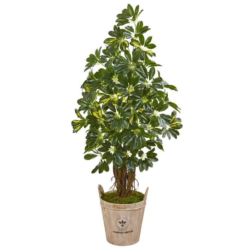 4.5' Schefflera Artificial Tree in Farmhouse Planter