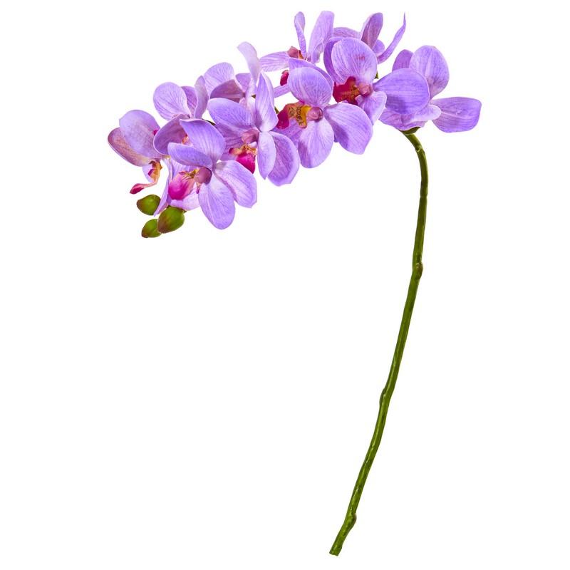 21"  Phalaenopsis Orchid Artificial Flower (Set of 6)