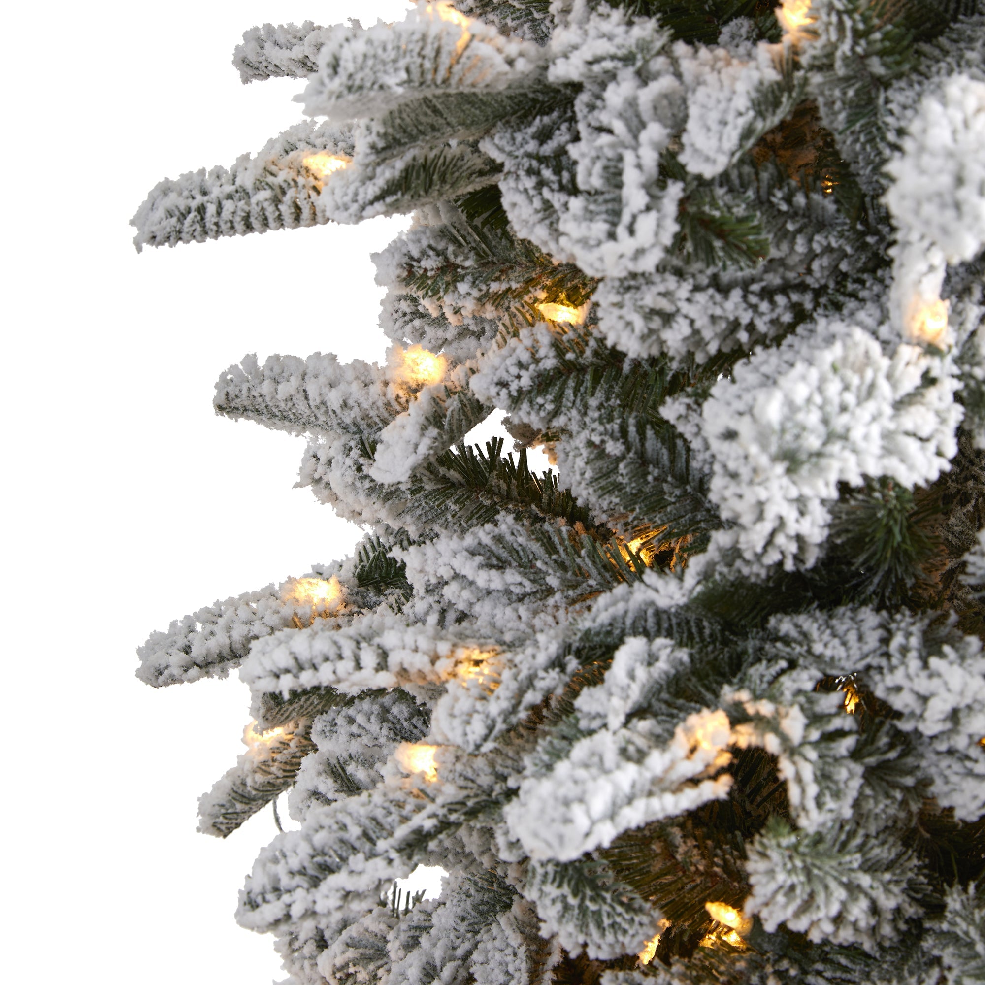 7' Flocked North Carolina Fir Artificial Christmas Tree w550 Warm White Lights
